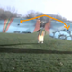 Illustration for article titled CGI Experts Say Flying Bird Man Is Fake (Update 2)